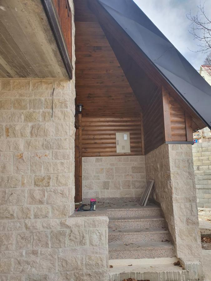 Villa Alpine House à Žabljak Extérieur photo